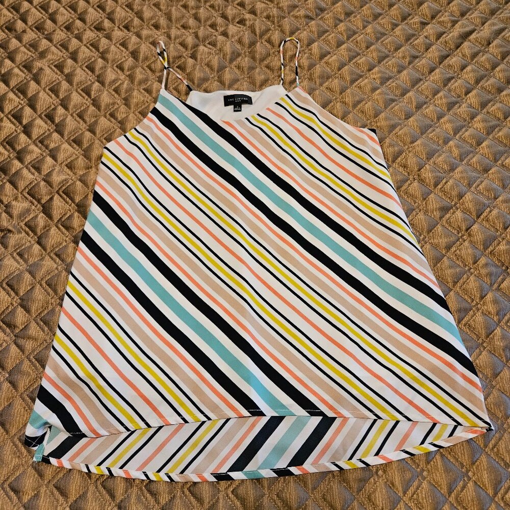 Multi Color Diagonal Striped Camisole